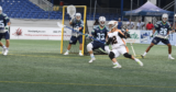 Best Lacrosse Gloves of 2026: Protection, Feel, and Fit Ranked