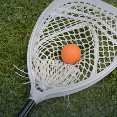 Best Lacrosse Sticks for Beginners (2026): Complete Guide